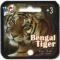 BENGAL TIGER - MERCIER TOYS - MTC SQUARE 20X16mm + 1X25mm (FACE)